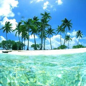 Meet your Posher, Kenneth